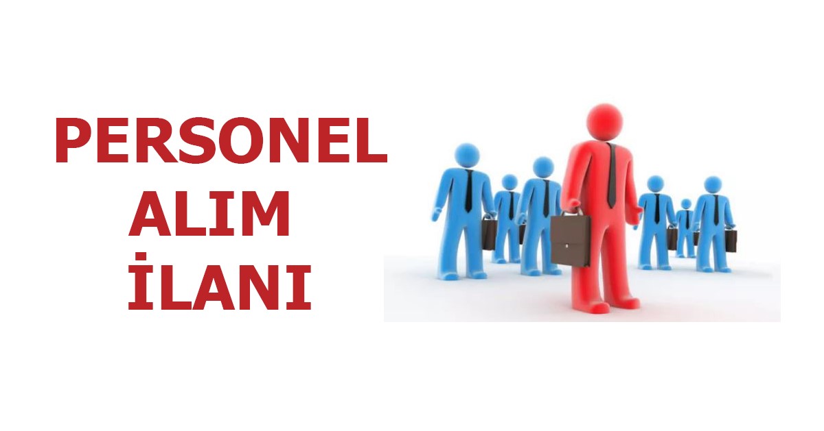 HAVSA TAŞIMACILIK İNŞAAT HAYVANCILIK  SANAYİ VE TİCARET LİMİTED ŞİRKETİ PERSONEL ALIM İLANI