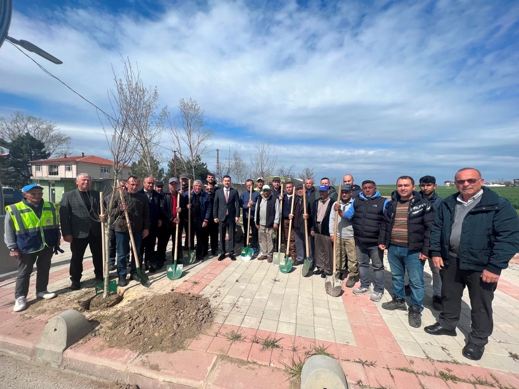 BU BAHAR YENİ KALDIRIMLARIMIZDA YENİ FİDANLARIMIZ YEŞİLLENECEK 🌳🌲🪴